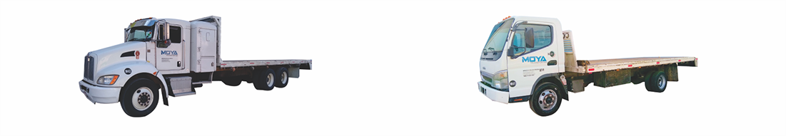 Fletes en Queretaro, camiones 